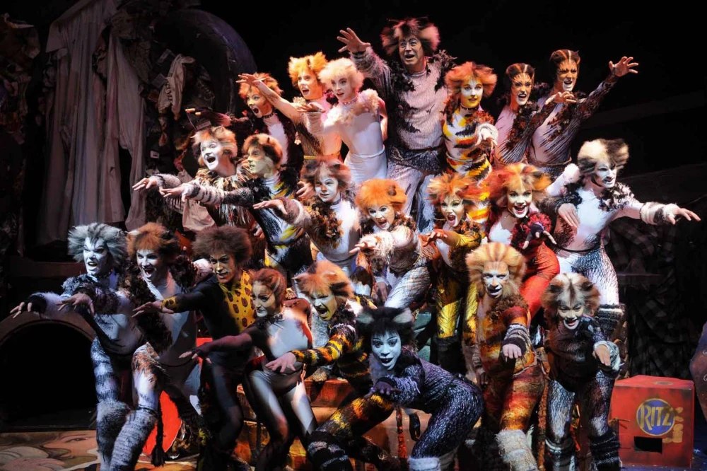 Cats